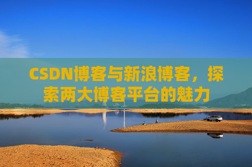 CSDN博客与新浪博客，探索两大博客平台的魅力