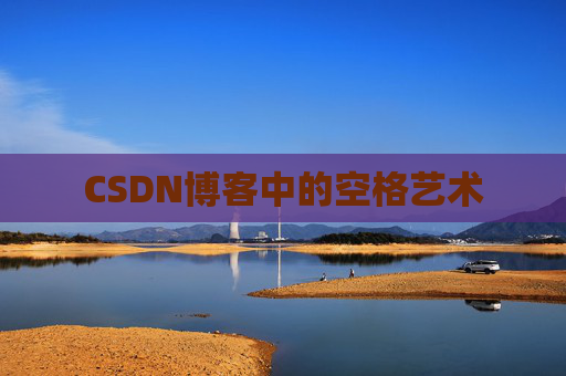CSDN博客中的空格艺术
